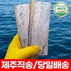 안군농원 산지직송 제주 은갈치 5마리 냉동, 1개, 제주 은갈치 5마리 (대)