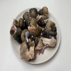 복덩이네 국내산 당일조업 흑골뱅이 1kg 8-13미내외, 1개