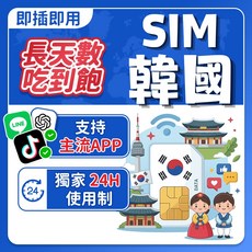 飛網科技 韓國網卡 3-30天 5G高速吃到飽, 1個, 高速總量50GB+無限量,11天