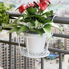 盆栽掛架，壁掛式花盆架，節省空間，室內外裝飾, 白色-加粗款(不含花盆), 1個