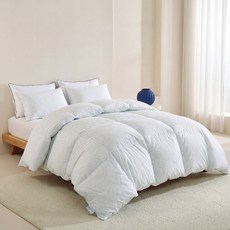 칸슈타터 독일산 수입 구스다운 호텔 이불 사계절용, 스카이 블루