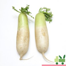 사라상회 흙무 (상) 10kg, 1박스