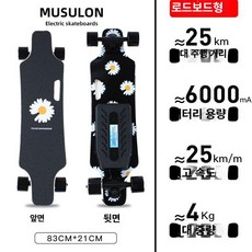 전동 스케이트보드 오프로드 듀얼 입문 고출력 성인용, 1개, 데이지 단일 구동 1단계 25km