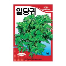 경신종묘 당귀씨앗 일당귀 2g, 1개