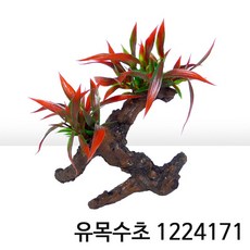 유목수초 1224171 (16x10x15cm), 없음, 1개