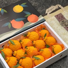 오국참 제주 한라봉 3kg 5kg 고당도 명절 선물 세트, 한라봉 7-10입 내외 선물세트 3kg, 1