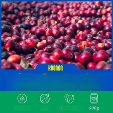 가정용 로스터기 화이트 베이지 덮개 블랙색상, 요가스피 미스트 체리 원두 500g