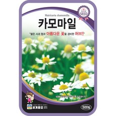 카모마일 500립 허브 씨앗 종자 캐모마일 허브차 허브향