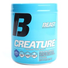 Beast Sports Nutrition 野獸生物藍莓味, 300g, 1個