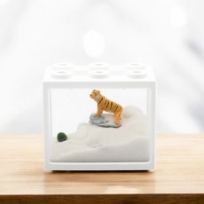 미미네아쿠아 설산호랑이 마리모 키우기 세트 B, 1개