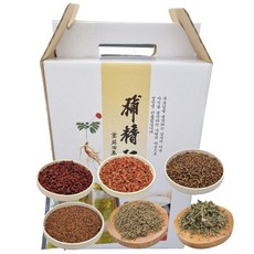 오자액상차(오미자 구기자 복분자 토사자 사상자), 110mg, 1개, 60개입