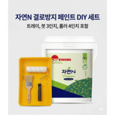 결로방지 페인트 DIY 셀프 세트 베란다 발코니 곰팡이방지 친환경 조광 자연N, 1세트, 4L, 화이트(붓,롤러,트레이 포함)