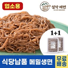 설악제면 막국수전문점 생메밀국수 (업소용 쫄깃한면발 메밀냉면 메밀소바면 식당용제품 메밀막국수), 2개, 1.4kg