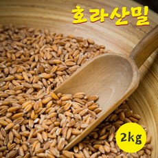 호라산밀 1kg 호라산 쌀 100% 효능, 2개