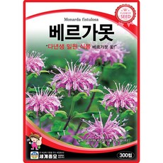 세계종묘 베르가못 씨앗 300립 월동가능 베르가못 다년생 꽃씨 종자, 3개