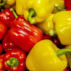 블루밍그린 국내산 못난이 빨강 노랑 혼합 파프리카 : (가정용) 2kg, 1개