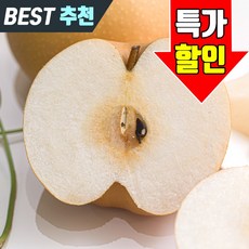 아삭달콤 가정용 배 실속형배 신고배 국내산, 1개, 5kg