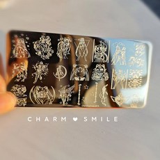 네일 템플릿 만화 캐릭터 스탬핑 플레이트 프렌치 라인 기하학 꽃 잎 동물 이미지 스테인레스 스틸 아트 스텐실, 옵션28) CJT-075, 1개