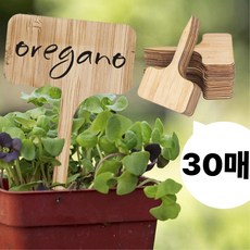 메디에버 식물표찰