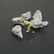 공룡뼈 발굴 1+1 - 지층과 화석