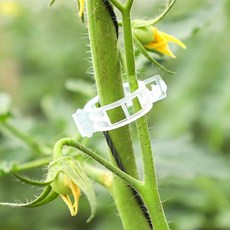 나무 식물 고정클립 고추끈 가지 지지대 10개입 you8+9uEV, 1개