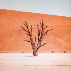 풍경 지중해 그리스 베고니아 올리브 나무 포스터 그림 벽 예술 홈 장식, 3. 04