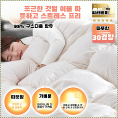 거위털 이불 화이트구스다운 겨울 이불세트 싱글 호텔 이불 배습 가볍다 동이불 편안하다//방진, (1개)벚꽃가루