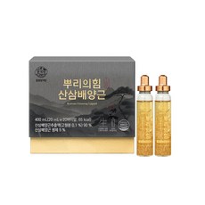 [동원천지인] 뿌리의 힘 산삼배양근 (20바이알) 20일분_1002650, 20ml