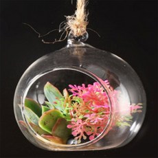 오늘도샵 테라리움 투명볼 5개 투명아크릴볼, 10cm