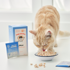 닥터펠리스 고양이 데일리 솔루션 이뮨 파우더 영양제, 15회분, 면역/항산화, 1개