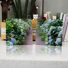 pi921-폼아크릴액자18CmX18CmX2ea_수국이핀꽃길
