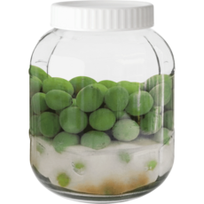 경성리빙테크 과실주 담금주 유리 저장병 랜덤발송, 3.5L, 1개