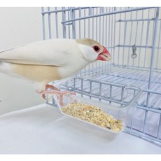 嘟嘟鳥寵物 義大利 2GR 125零食杯 透明飼料盒 雀鳥鸚鵡零食杯, 1個