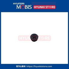 현대 기아 순정 인슐레이터 281603R030 28160-3R030, 호환 차종, 1개