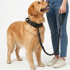 푸키 강아지 중형견 대형견 택티컬 세이프락 목줄 리드줄 세트, 1개, 블랙