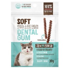 캣퓨어 고양이 소프트 덴탈껌 D&DI, 20g, 8개, 구강 면역건강에 도움