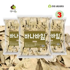 바나바잎차 말린 건조 바나바잎 바나바잎 원물, 3개, 300g