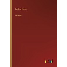 (영문도서) Scrope Paperback, Outlook Verlag, English, 9783368848583