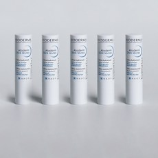 바이오더마 아토덤 스틱 레브르 립밤, 라즈베리향, 4g, 5개 라즈베리향, 4g, 5개