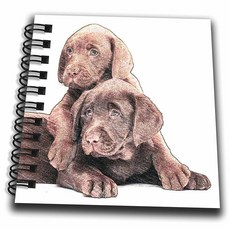 3dRose Chocolate Labs 디지털 아트 색연필 - 미니 메모장 10.2 x 10.2cm(4 4인치) (db_20155_3), 3dRose Chocolate Labs 디지털 아트 색