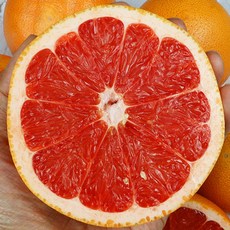 고당도 자몽 10과 (대과 특과) 레드자몽 수입자몽, 수입 고당도 자몽 대과 10과 3kg내외, 1박스