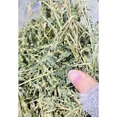GRACE 牧草 小動物適用 豐富纖維助消化 550公克, 550g, 1個