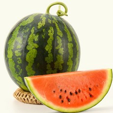 [산지직송] 재구매율 1위 하우스 초고당도 수분폭발 겨울 정품 수박, 1박스, 3-4kg 내외