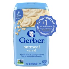 거버 싱글 그레인 시리얼 분말이유식 454g, 오트밀(Oatmeal), 1개