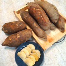 [싱싱다모아] 국내산 햇 야콘 달콤 아삭한 생야콘 5kg 10kg (생식용), 야콘 생식용 (특) 10kg, 1개