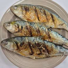 남해안 자연산 가을전어 급냉 구이용 조림용, 1개, 500g(2~3미)