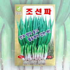 조선파 씨앗 15g(약6000립) 한국대농종묘 씨앗 구조파 재래종 파씨앗 파종자 파심기 파키우기, 1개