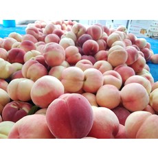 황도 말랑이복숭아 대과, 1개, 2kg