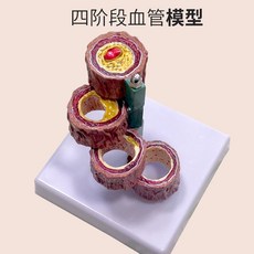 동맥 혈관 모형 해부학 단면 보건 심혈관계, 네 개의 혈관