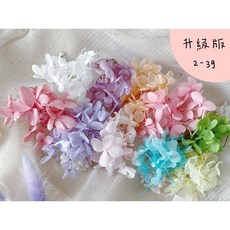 永生繡球 不凋花 進口木繡球 不凋繡球 繡球花 盆花素材 花盅材料 手腕花材料, 柔霧玫瑰,顏色以選項付圖為主